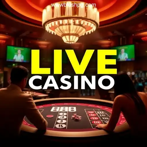 Exploring the World of Live Cassino: Your Guide to the Dynamic Experience of BLUSHPG.COM